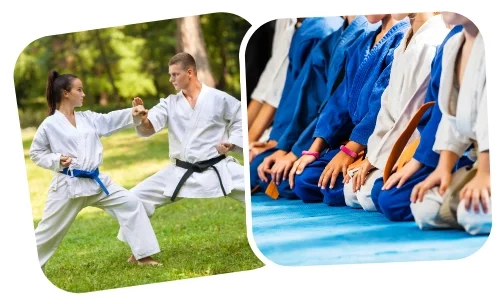 אומנויות לחימה מסורתיות