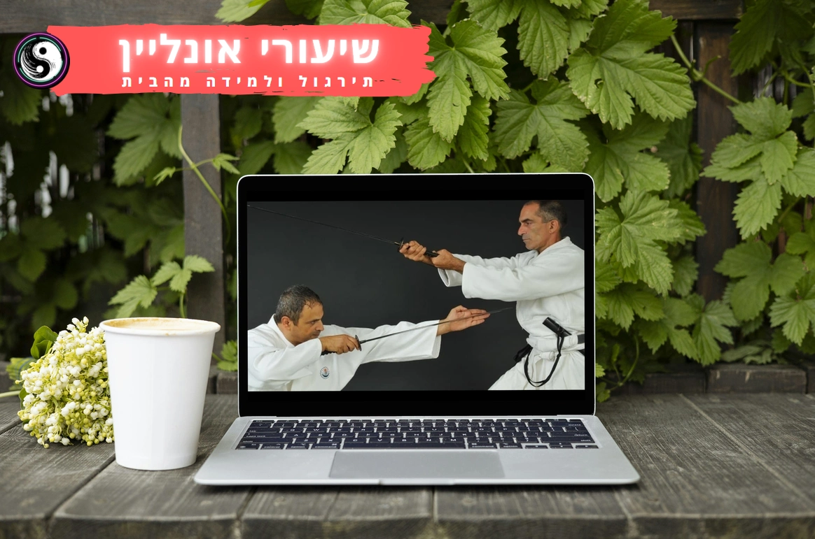 שיעורי אומנות לחימה אונליין - מקוון